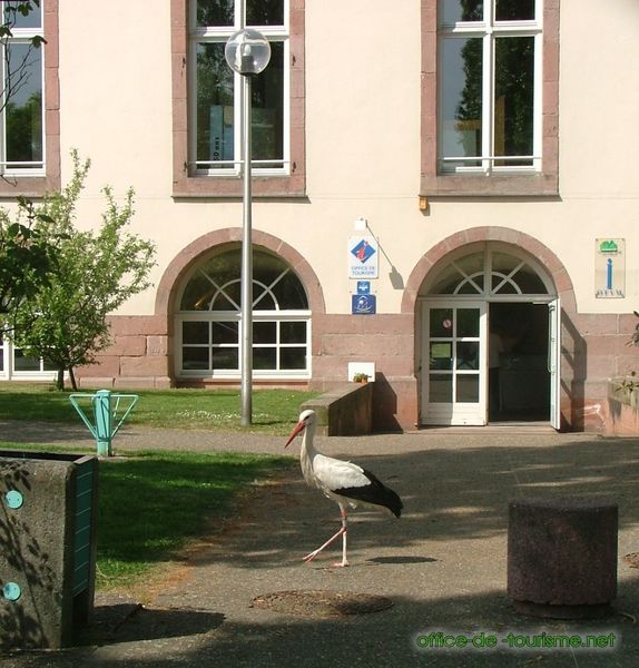 photo de l'enseigne photo de l'office de tourisme de Munster dans le Haut-Rhin.