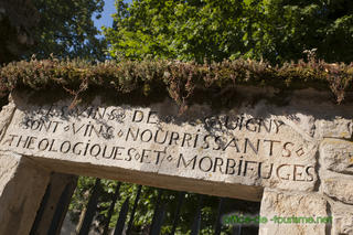 photo office de tourisme Savigny-lès-Beaune